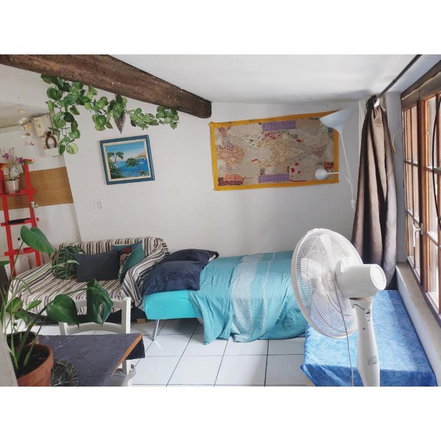 Appartement Cosy Au Coeur De Montpellier Zewnętrze zdjęcie